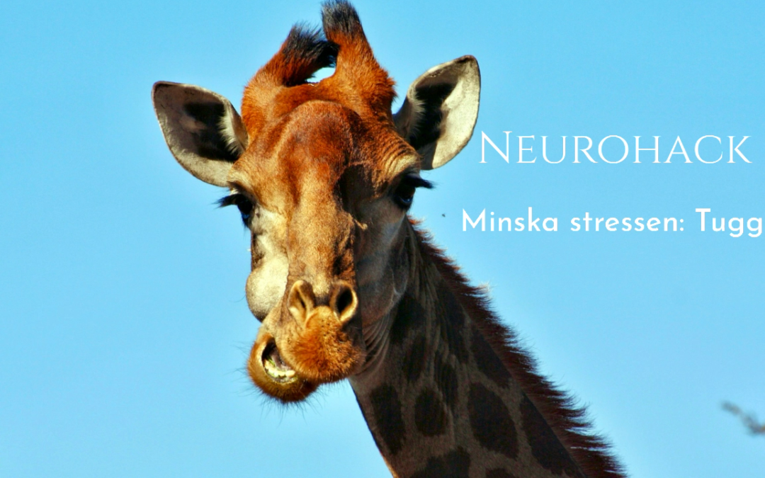 Stressreglering – tugga!