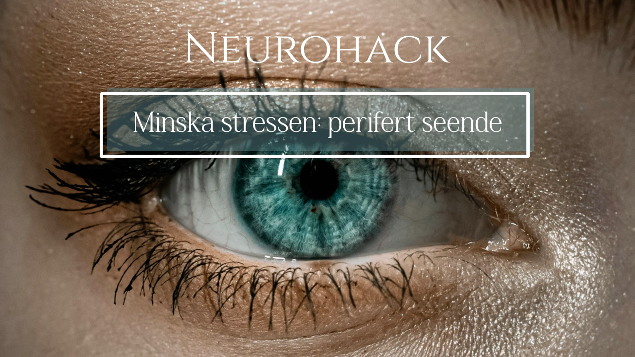 Snabb stressreglering med hjälp av perifert seende. Att slappna av och INTE fokusera blicken ett tag aktiverar din vagusnerv