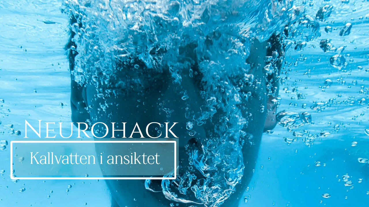 Snabb stressreglering? Vatten i ansiktet aktiverar din vagusnerv