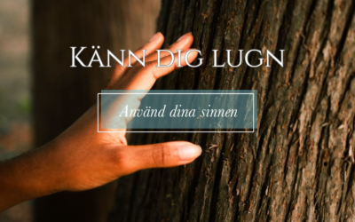 Känn dig lugn
