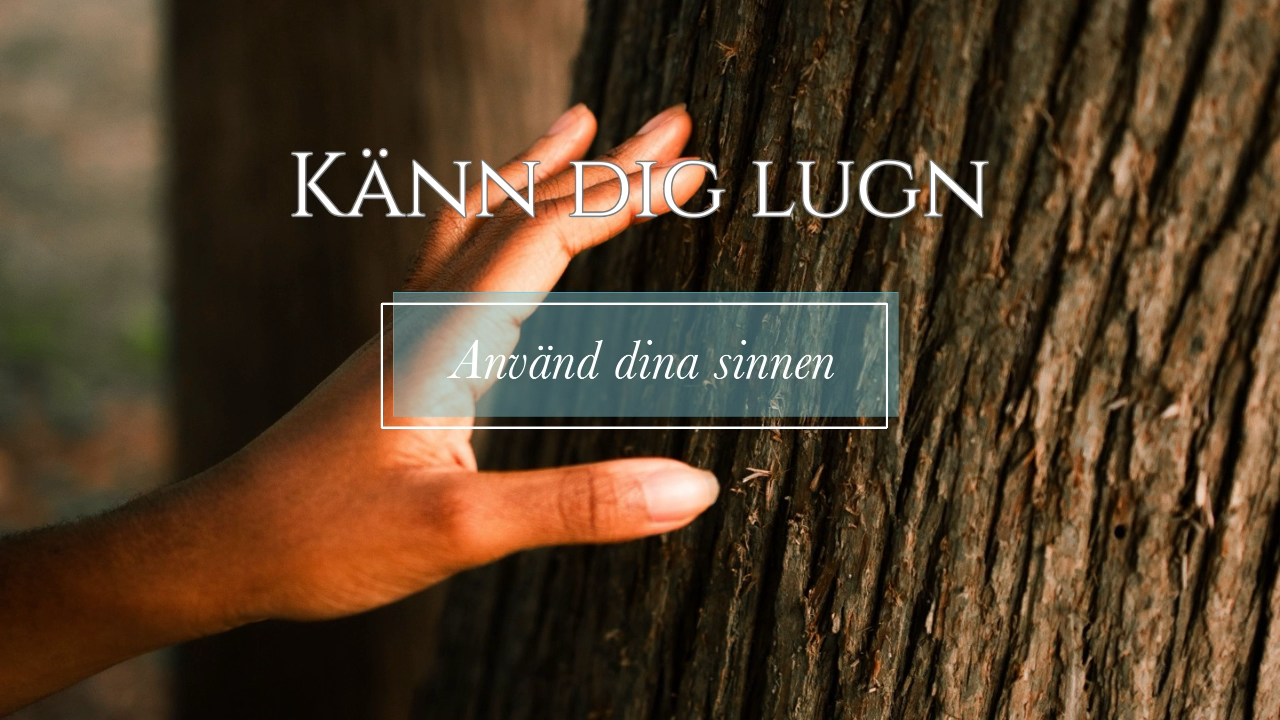 Känn dig lugn genom att känna kroppen. Stresshantering via kroppen