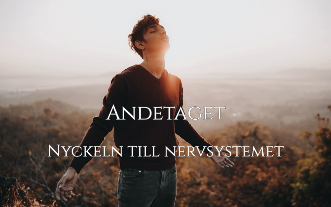 Andningen grundläggande för reglering av stress och vila.