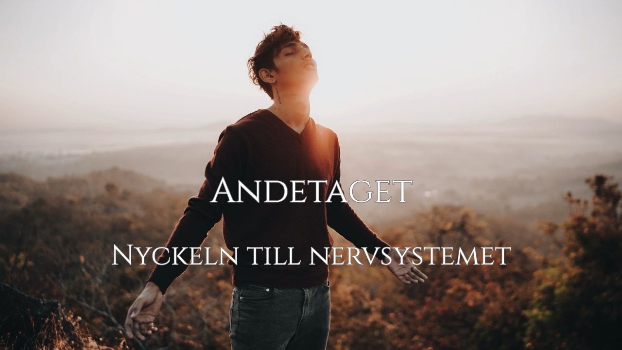 Andetaget-nyckeln som reglerar stress och vila